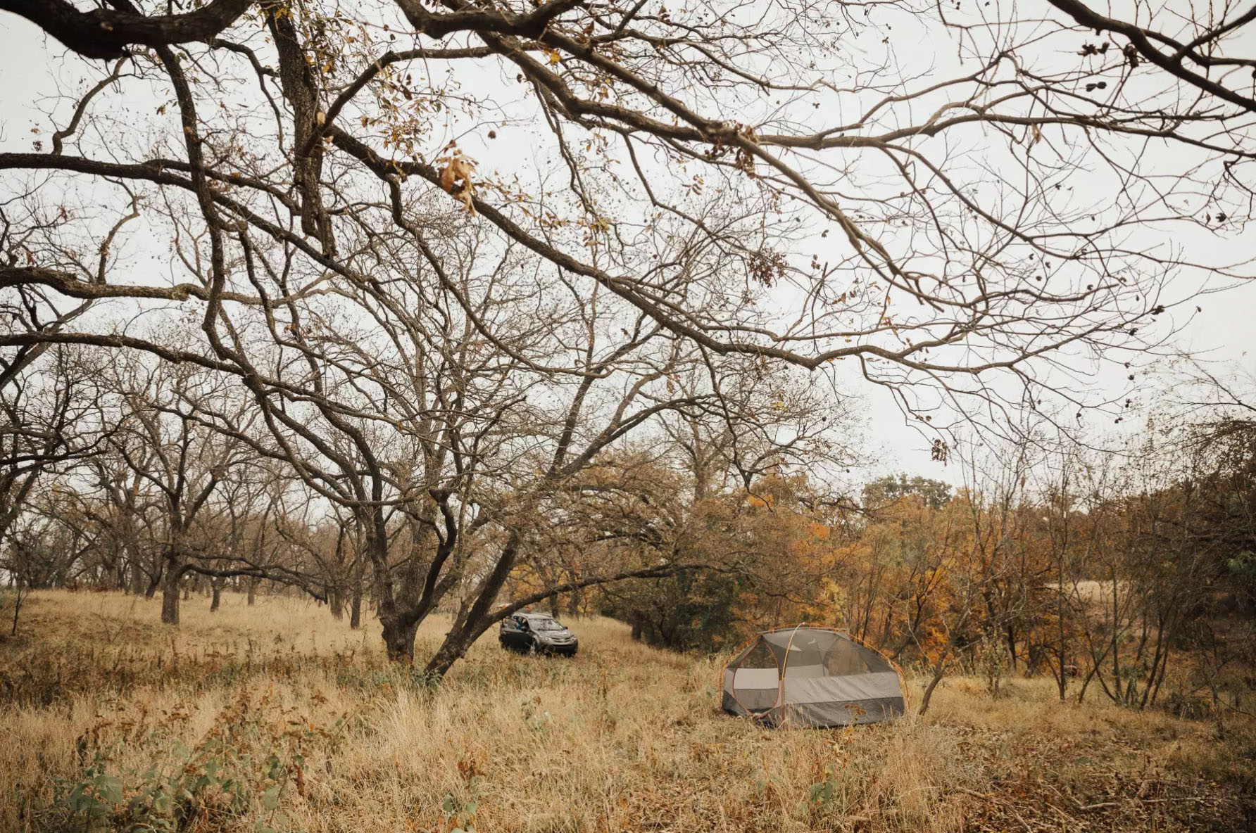 Lav Utstyr Gård I Texas tilbyr rimelig camping